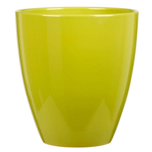 Obal orchidejovy 620 Tropical Green lesk 13 cm / v. 15 cm